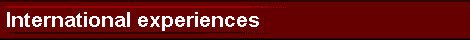 International Experiences