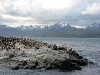 Beagle Channel