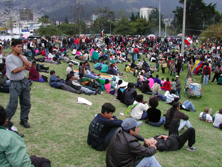 Parque el Arbolito